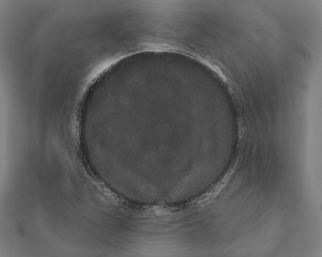 X0000112001311200908311106