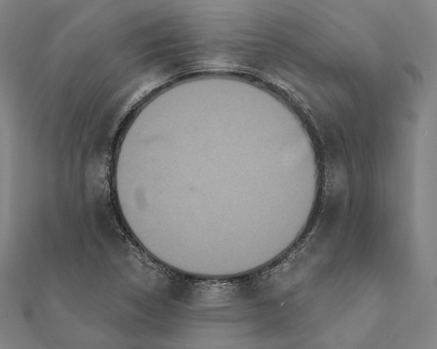 X0000112001314200908311106