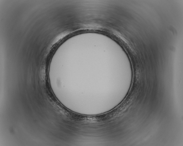 X0000112001315200908311106