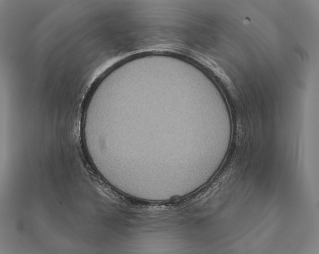 X0000112001316200908311106