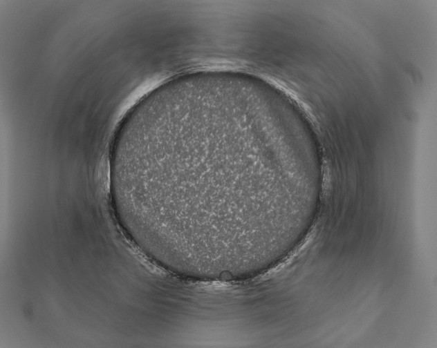 X0000112001317200908311106