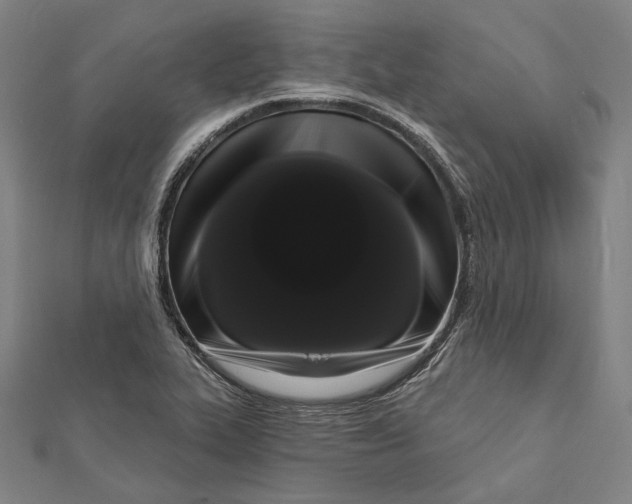 X0000112001319200908311106