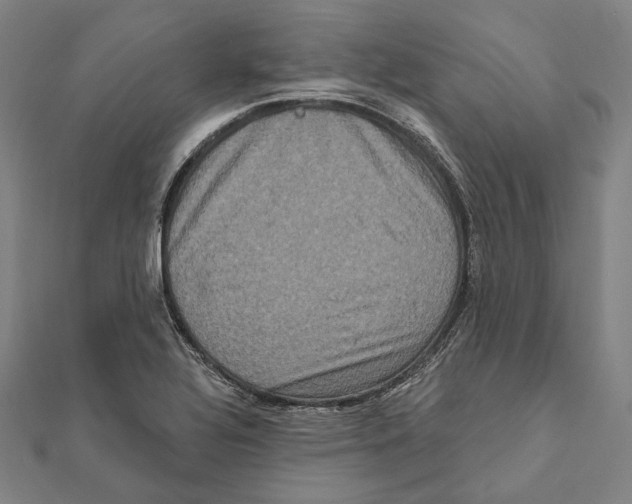 X0000112001320200908311106