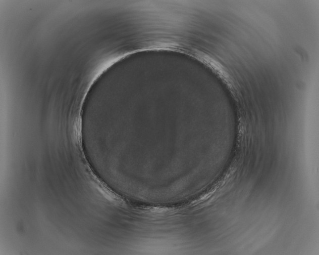 X0000112001324200908311106