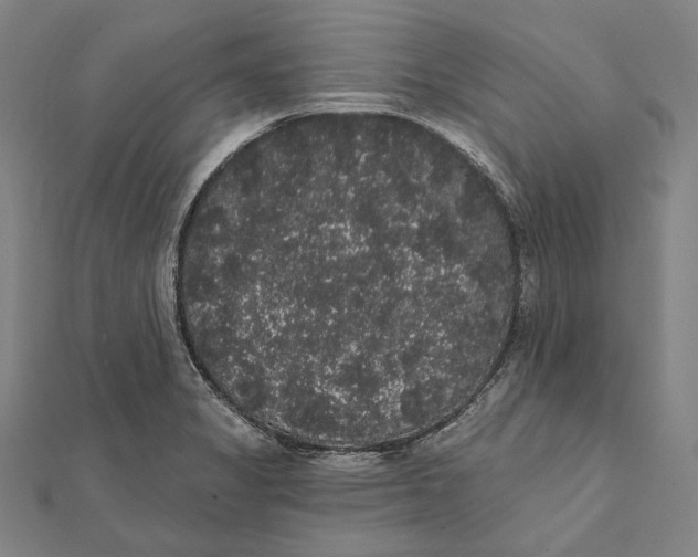 X0000112001325200908311106