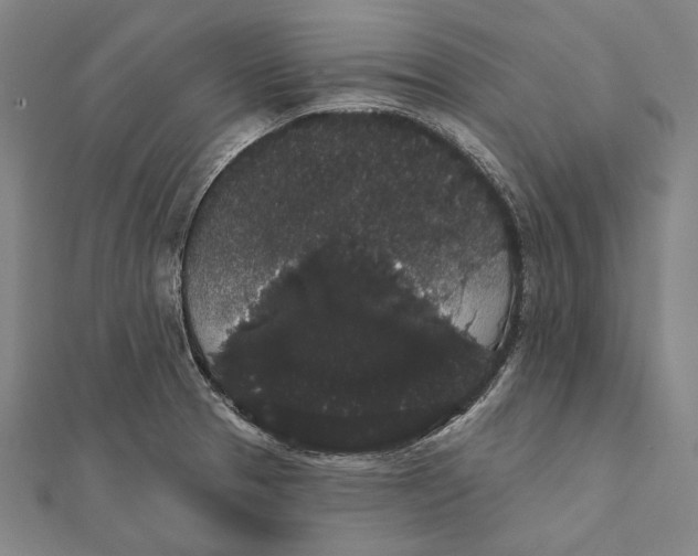 X0000112001329200908311106