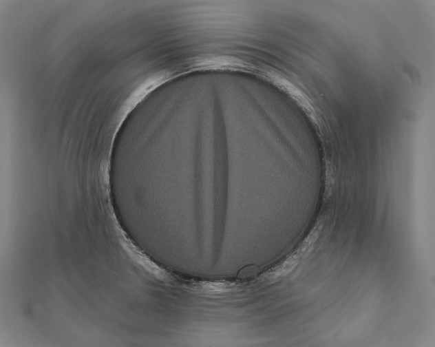 X0000112001330200908311106