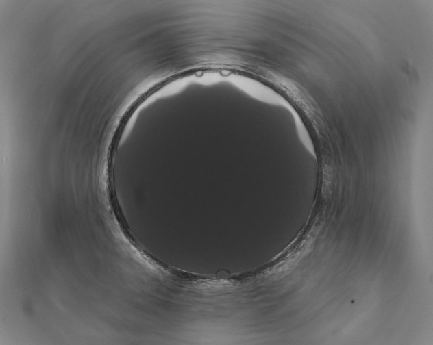 X0000112001331200908311106