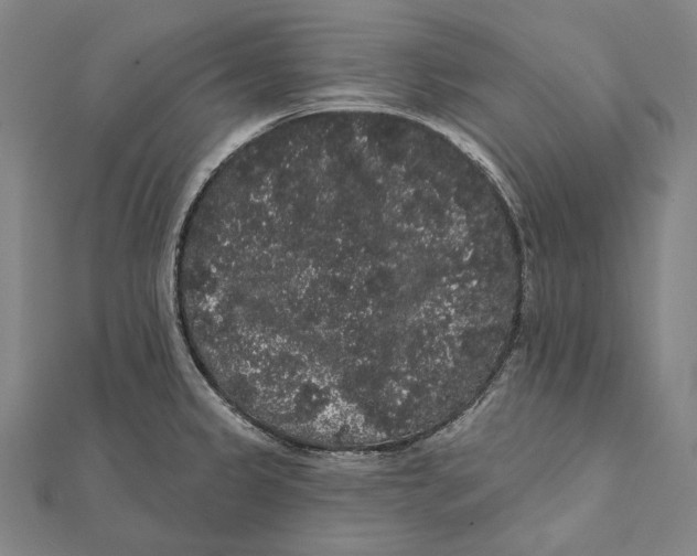 X0000112001333200908311106