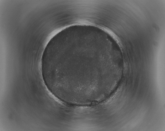 X0000112001335200908311106