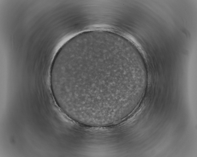 X0000112001336200908311106