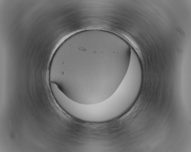 X0000112001340200908311106