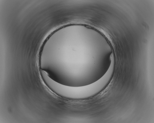 X0000112001342200908311106