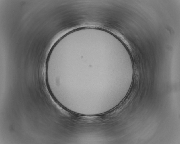 X0000112001343200908311106