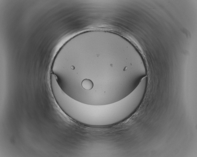 X0000112001344200908311106