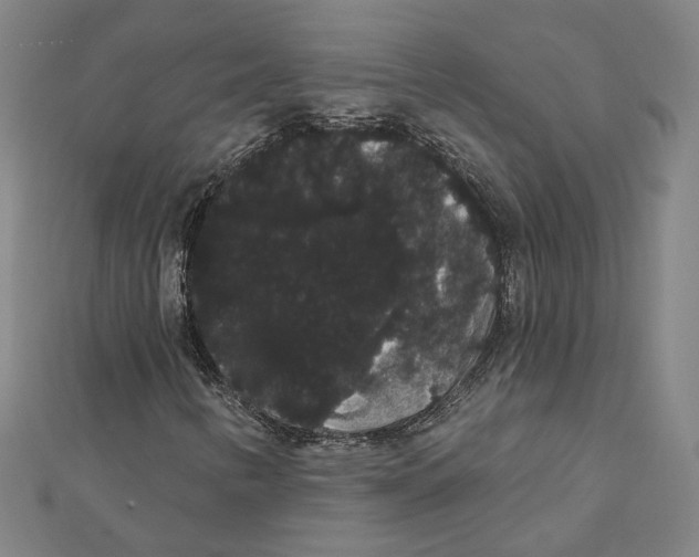 X0000112001346200908311106