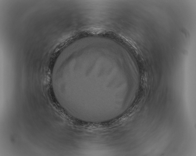 X0000112001349200908311106