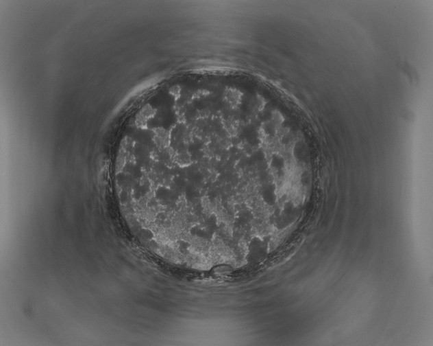 X0000112001351200908311106