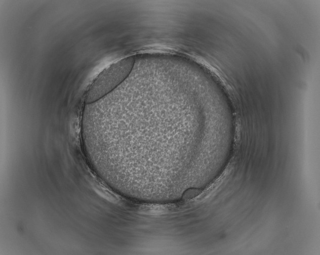 X0000112001355200908311106