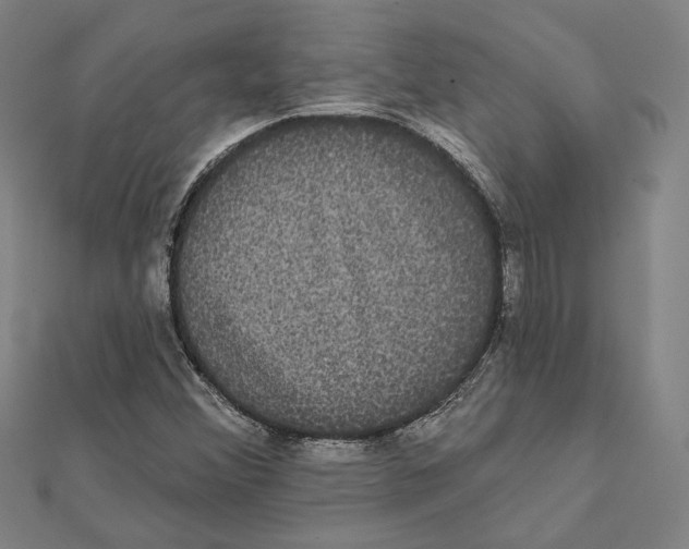 X0000112001356200908311106