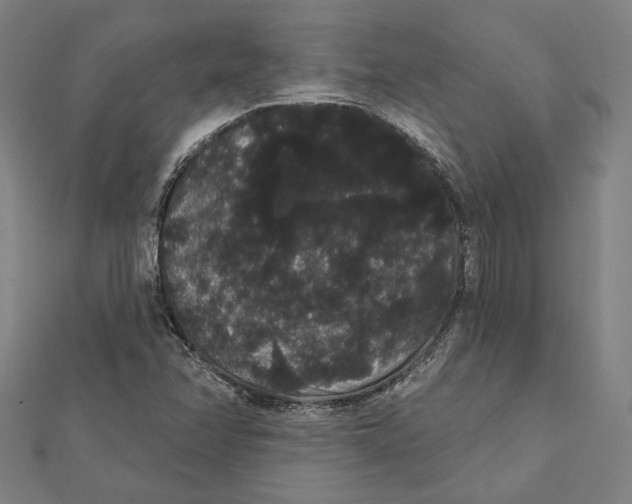 X0000112001358200908311106