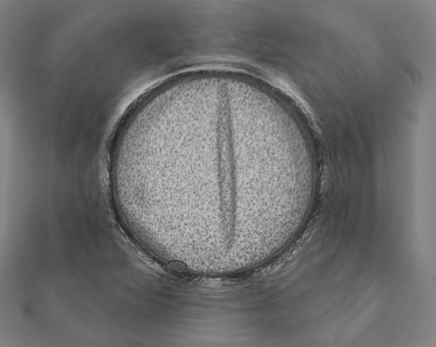 X0000112001360200908311106