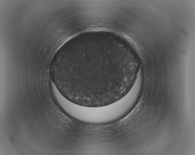 X0000112001361200908311105