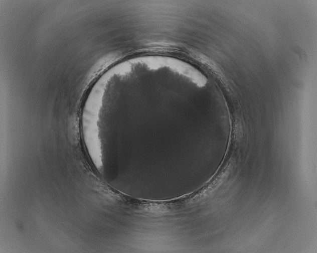 X0000112001362200908311105