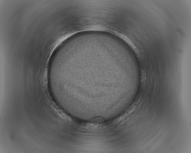 X0000112001364200908311105