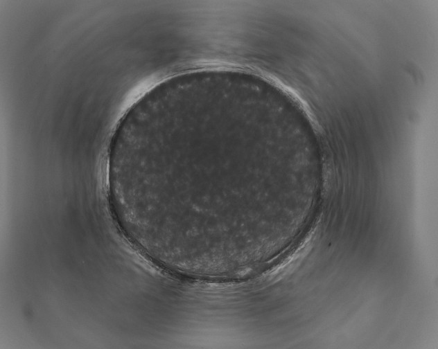 X0000112001365200908311105