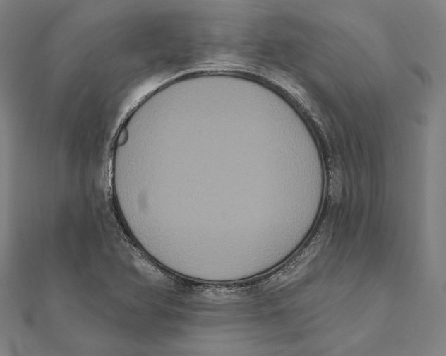 X0000112001366200908311105