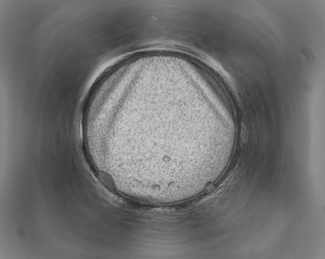 X0000112001368200908311105