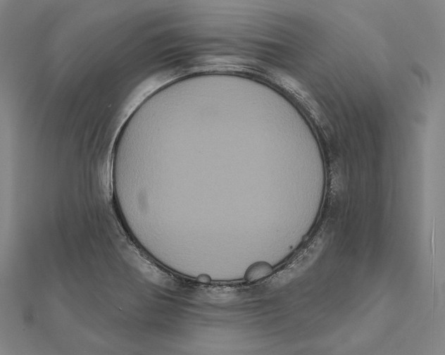 X0000112001370200908311105