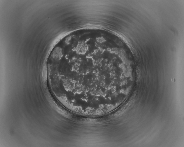 X0000112001371200908311105