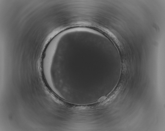 X0000112001373200908311105