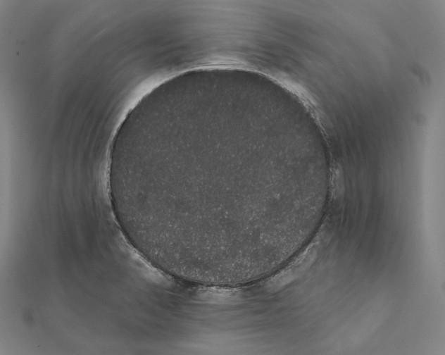 X0000112001374200908311105