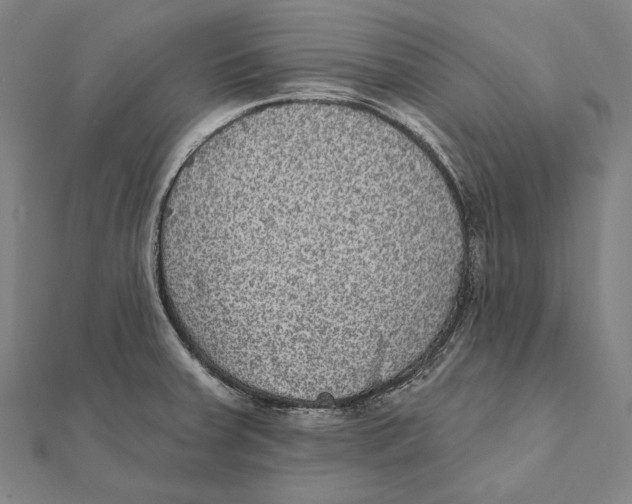 X0000112001379200908311105