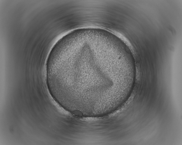 X0000112001380200908311105