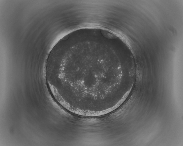 X0000112001382200908311105