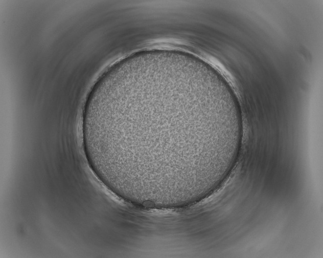 X0000112001384200908311105