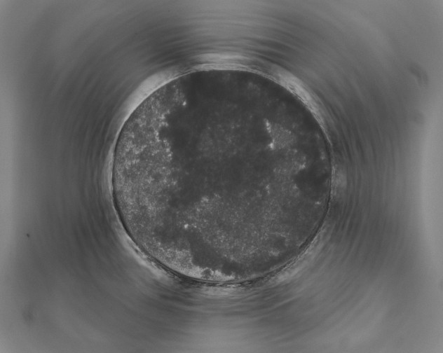 X0000112001386200908311105