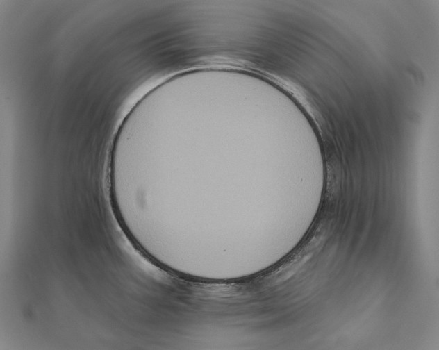 X0000112001387200908311105