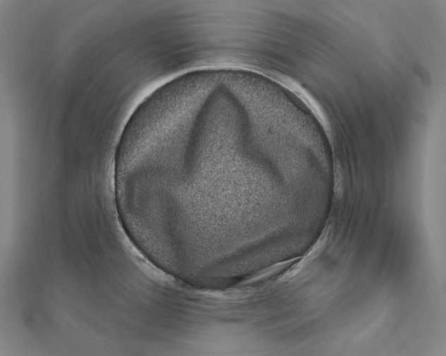 X0000112001388200908311105