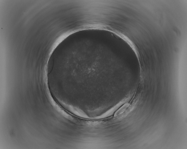 X0000112001389200908311105