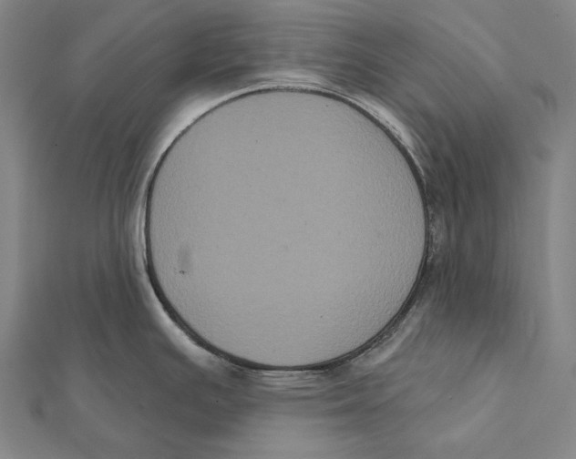 X0000112001391200908311105