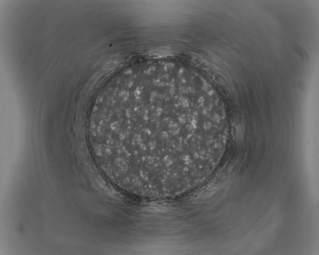 X0000112001393200908311104