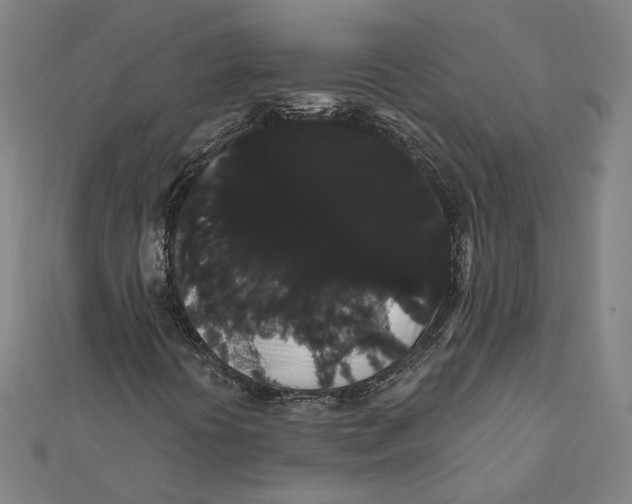 X0000112001394200908311104