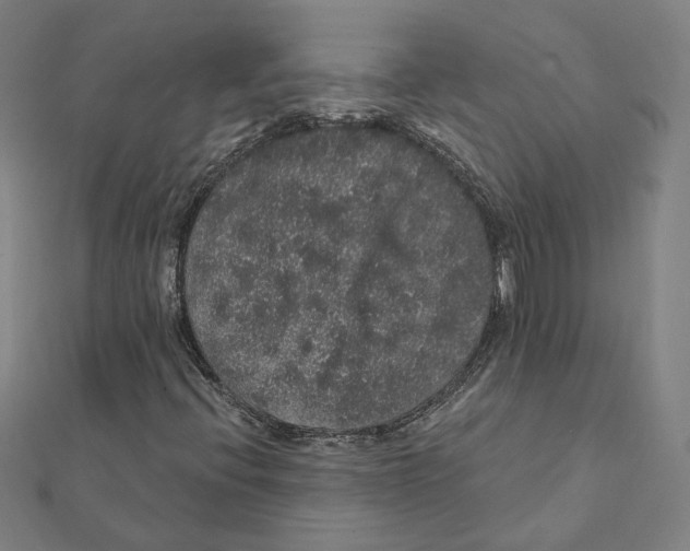 X0000112001396200908311105