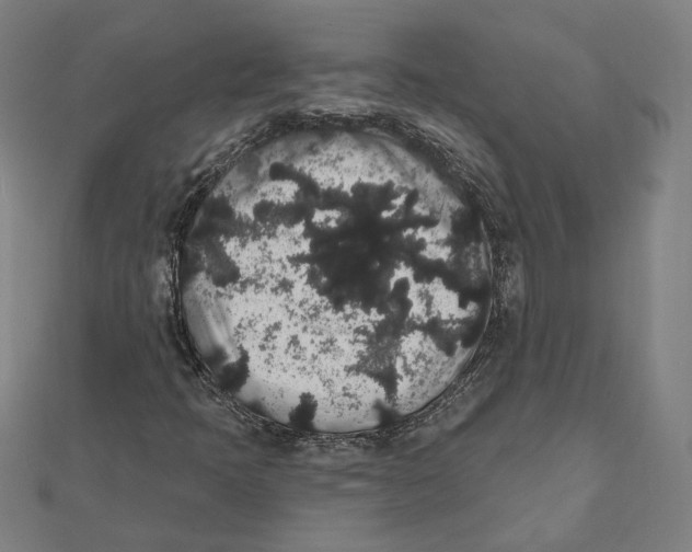 X0000112001397200908311105