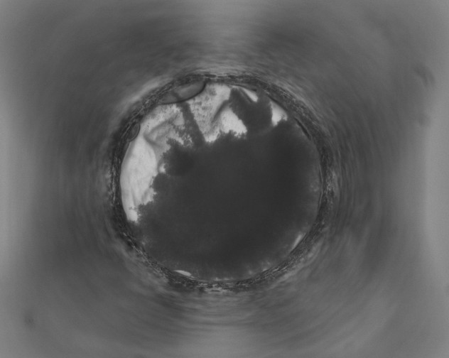 X0000112001398200908311105